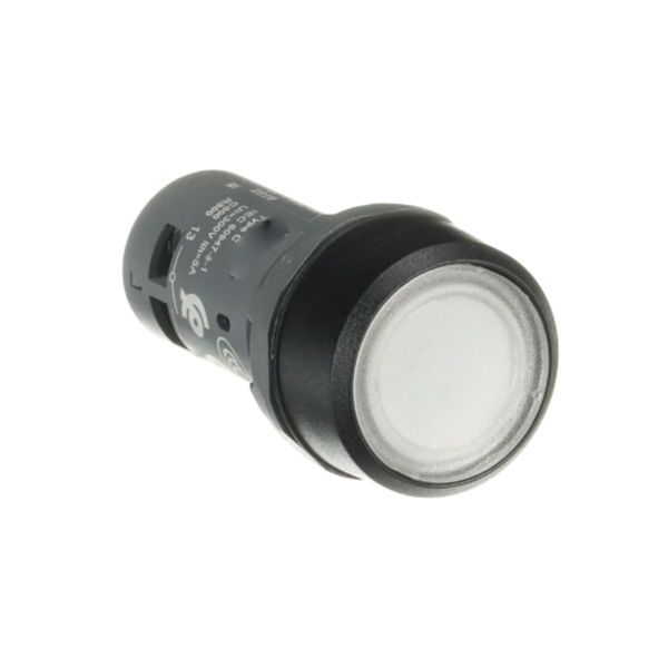 CP1-11C-10 Pushbutton