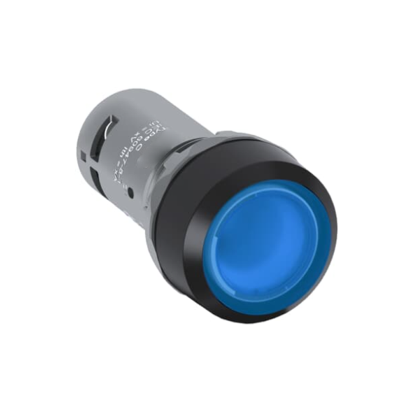 CP1-11L-10 Pushbutton