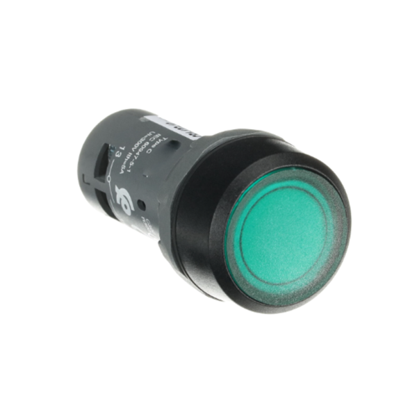 CP1-12G-10 Pushbutton