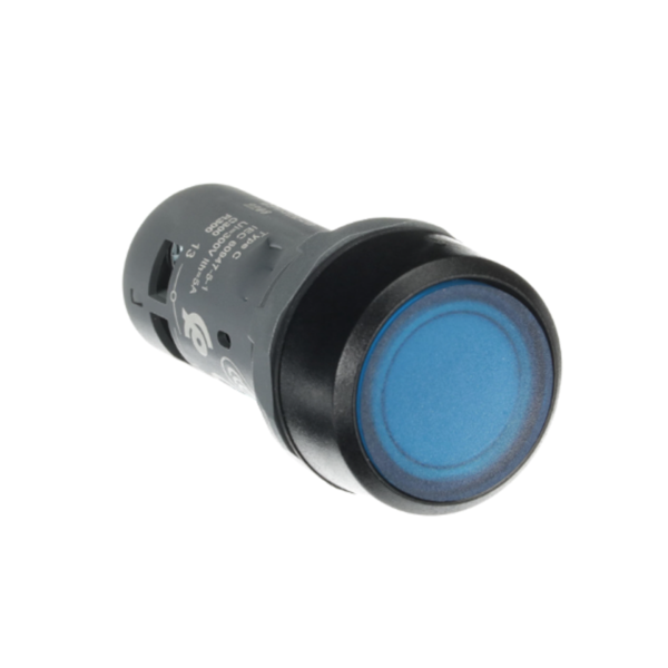 CP1-12L-10 Pushbutton